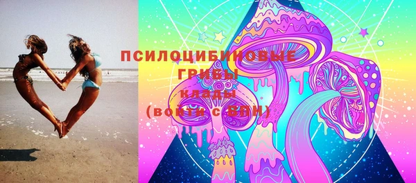 молекула духа Зерноград