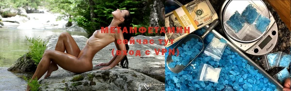 прущие грибы Зеленодольск
