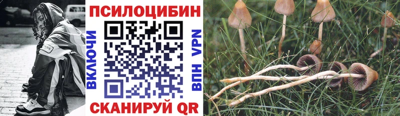 Псилоцибиновые грибы MAGIC MUSHROOMS  Каргополь 